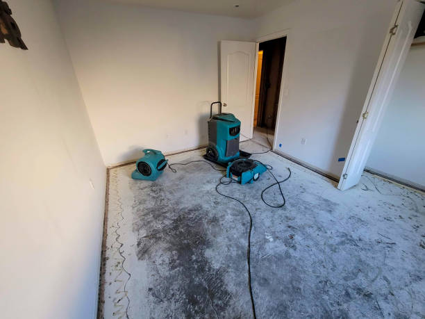 Best Basement water damage restoration  in Rogers, AR