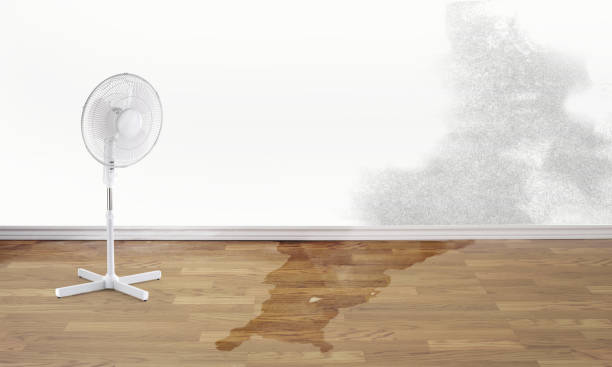 Best Local water damage restoration  in Rogers, AR