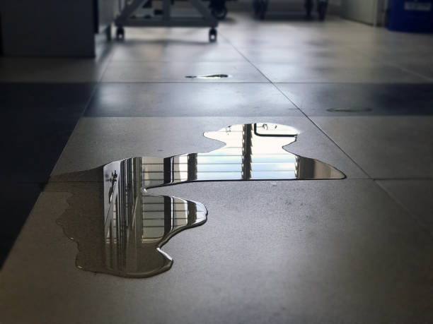Best 24/7 water damage repair  in Rogers, AR
