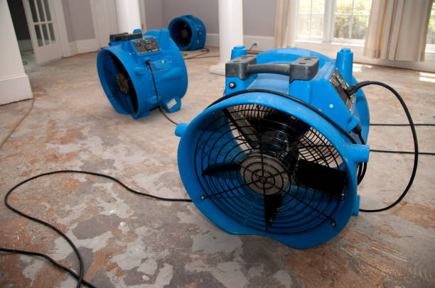 Best Water damage contractors near me  in Rogers, AR