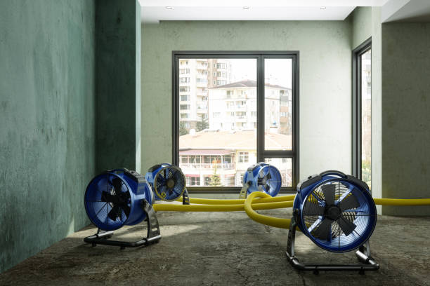 Best Water damage restoration near me  in Rogers, AR